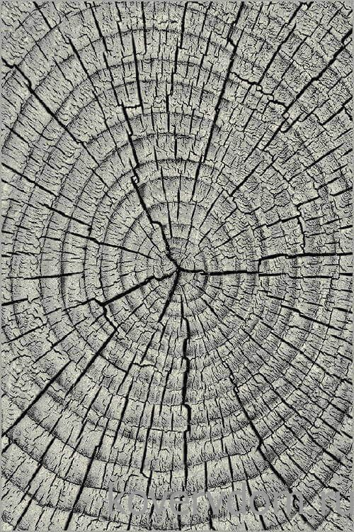 Ковер MANGO 11261-190